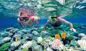 佔婆島之旅 - 潛水看海底珊瑚