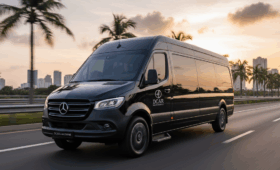 DCar Limousine in Da Nang
